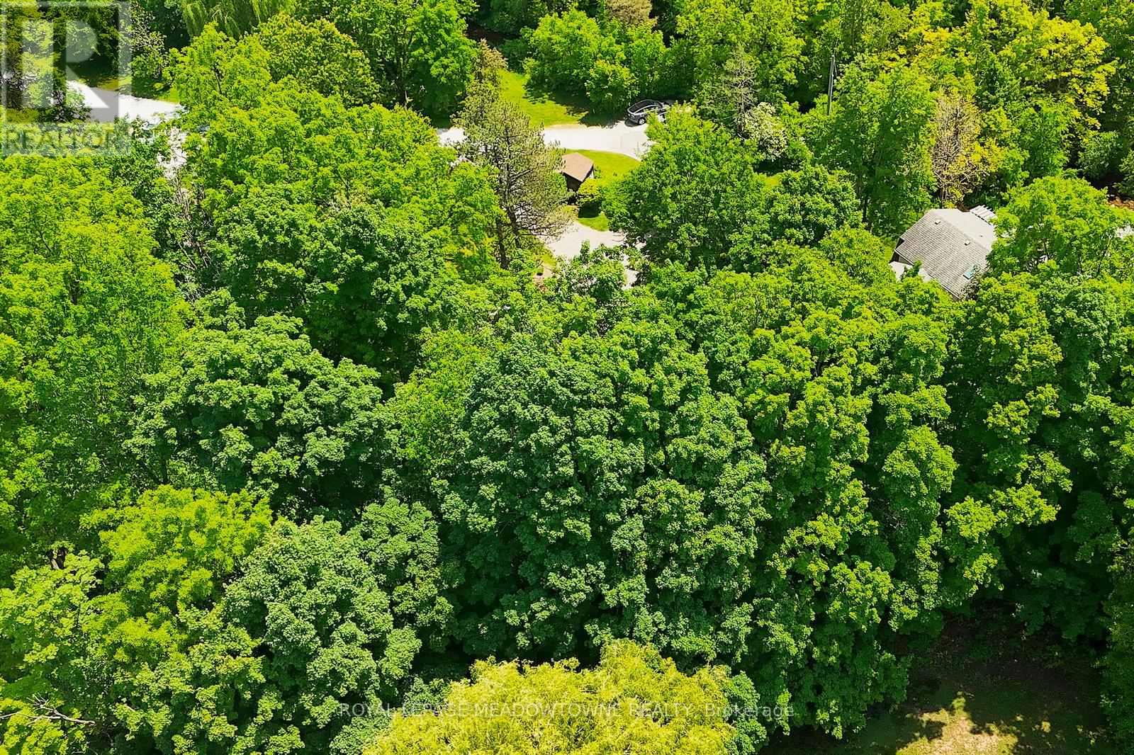 4 Ann Street, Halton Hills (Georgetown), Ontario  L7G 2V2 - Photo 48 - W12938610