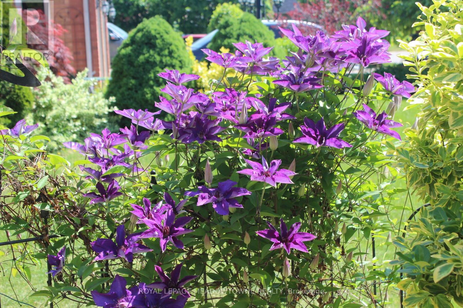 29 Hamilton Crescent, Halton Hills (Georgetown), Ontario  L7G 5K9 - Photo 44 - W12940074