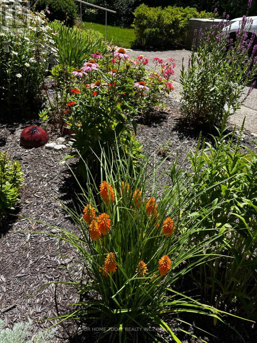 36 Queen Street, Halton Hills (Georgetown), Ontario  L7G 2E6 - Photo 30 - W13008614