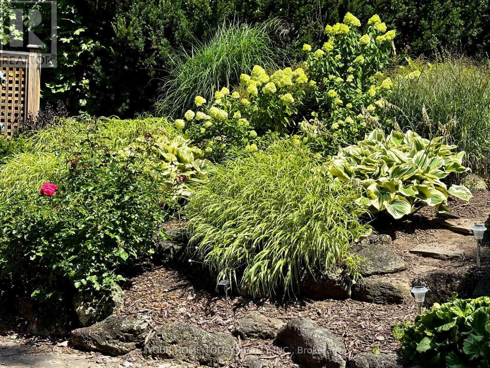 36 Queen Street, Halton Hills (Georgetown), Ontario  L7G 2E6 - Photo 32 - W13008614