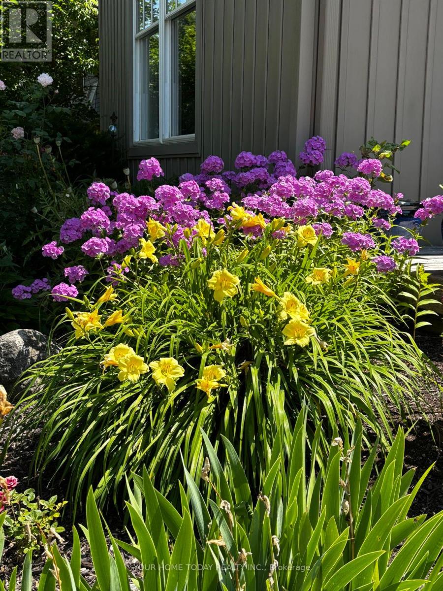 36 Queen Street, Halton Hills (Georgetown), Ontario  L7G 2E6 - Photo 33 - W13008614