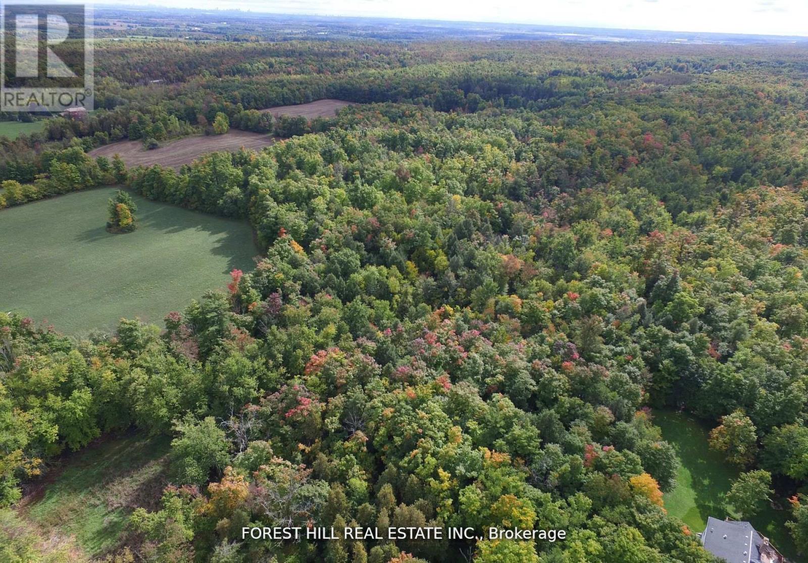 7406 17 Side Road, Halton Hills (Es Rural Esquesing), Ontario  L7J 2M1 - Photo 11 - W13013458