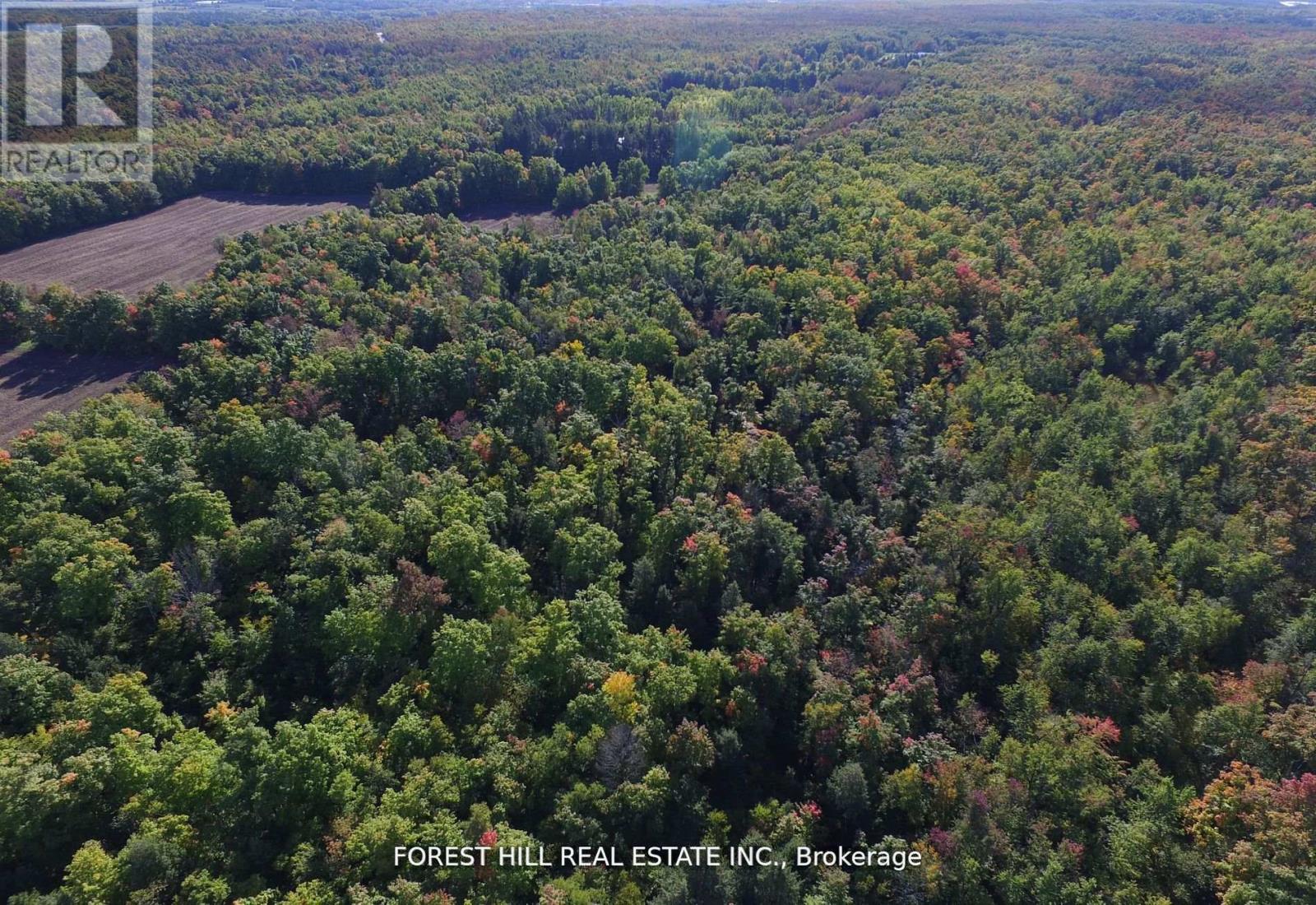 7406 17 Side Road, Halton Hills (Es Rural Esquesing), Ontario  L7J 2M1 - Photo 8 - W13013458