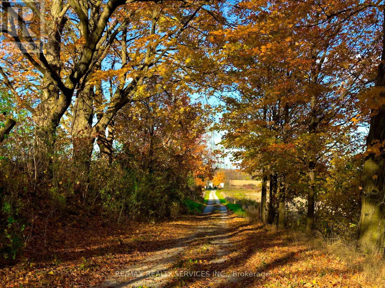 11889 Fourth Line, Halton Hills (Rural Halton Hills), Ontario  L7J 2M1 - Photo 6 - W13041208