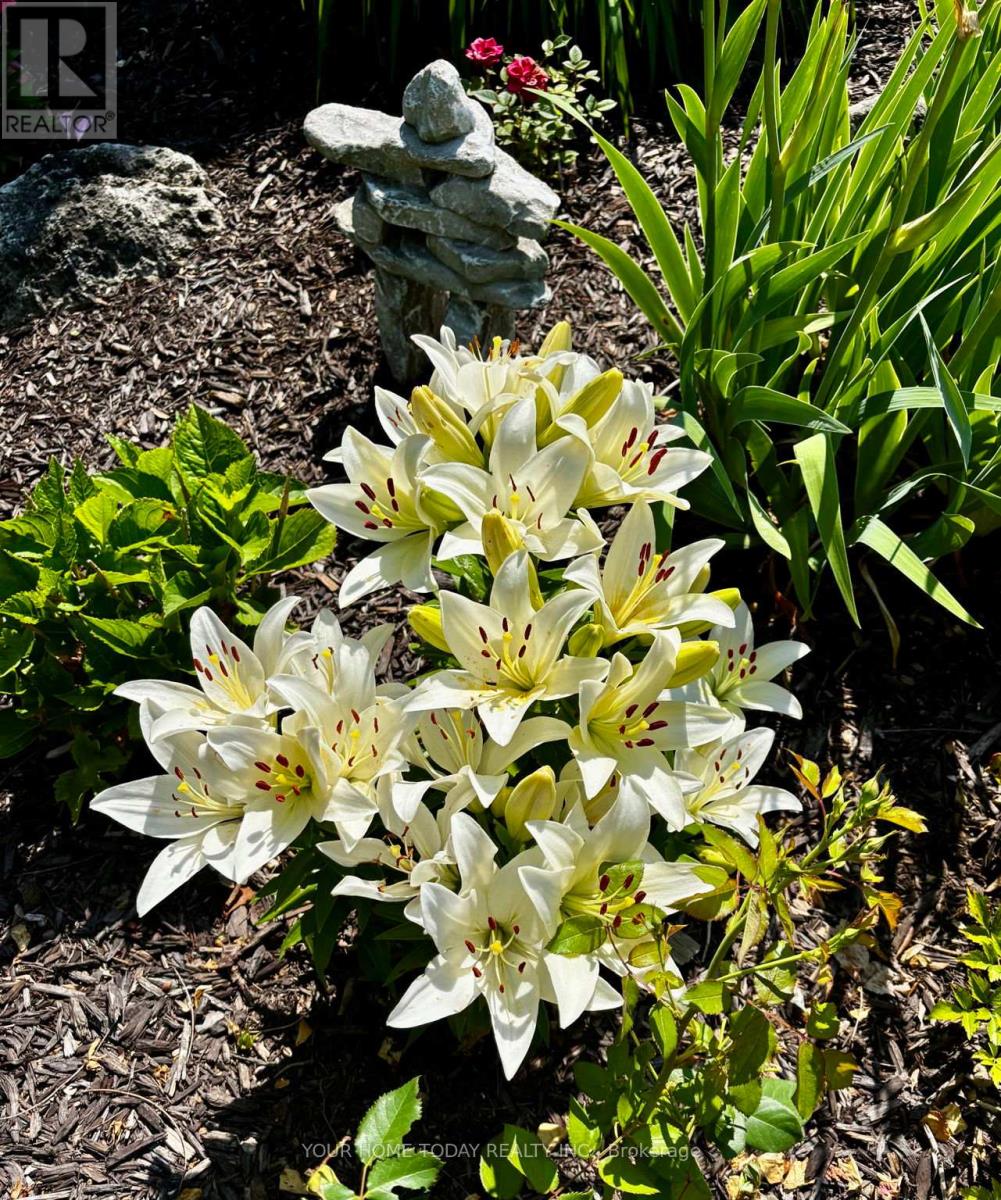 36 Queen Street, Halton Hills (Georgetown), Ontario  L7G 2E6 - Photo 30 - W13041692