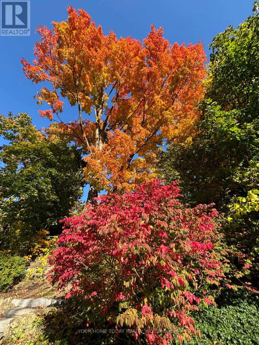 36 Queen Street, Halton Hills (Georgetown), Ontario  L7G 2E6 - Photo 32 - W13041692