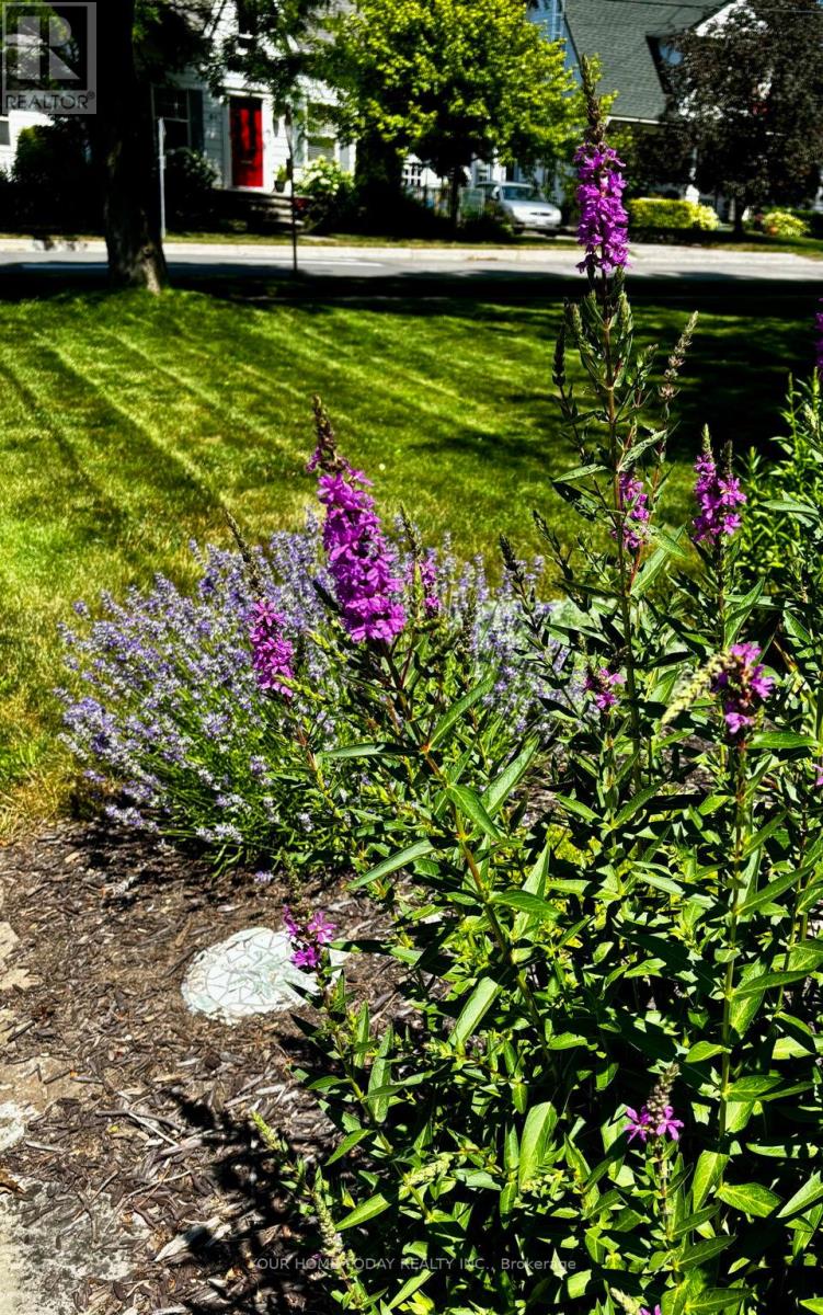 36 Queen Street, Halton Hills (Georgetown), Ontario  L7G 2E6 - Photo 36 - W13041692