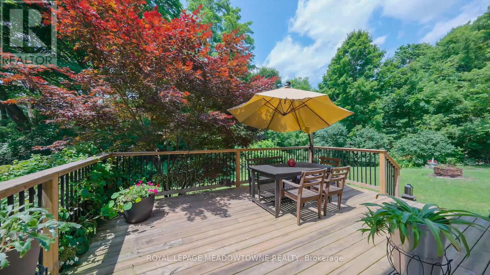 12369 Elizabeth Street, Halton Hills (Limehouse), Ontario  L0P 1H0 - Photo 31 - W13051278