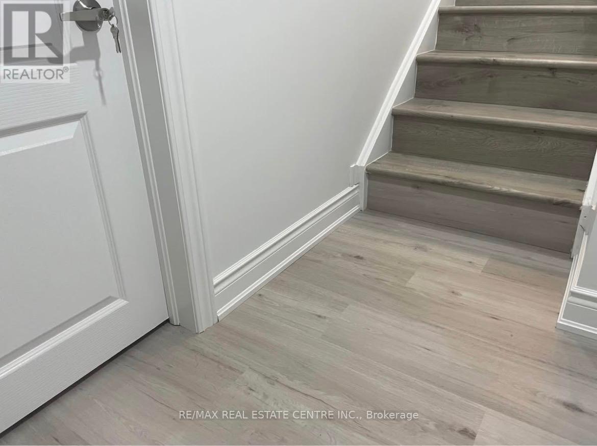 Bsmnt - 7 Branigan Crescent, Halton Hills (Georgetown), Ontario  L7G 0N2 - Photo 1 - W13161542