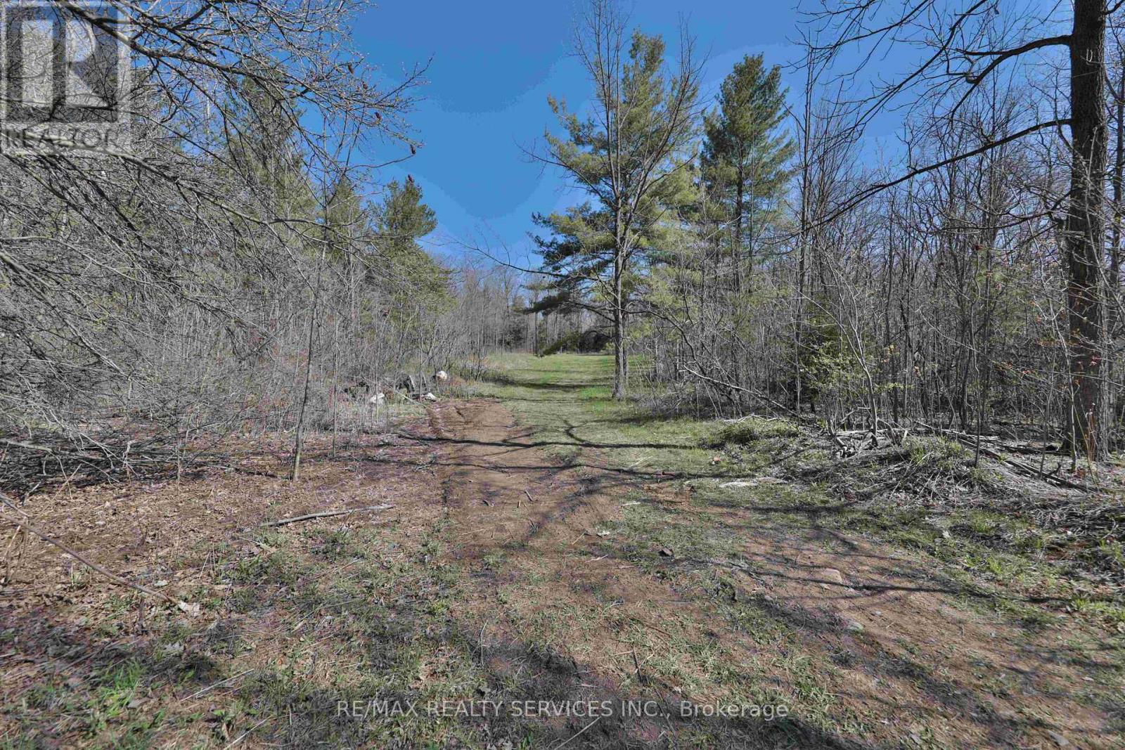 20 Side Road, Halton Hills (Rural Halton Hills), Ontario  L7G 4S4 - Photo 14 - W13233522