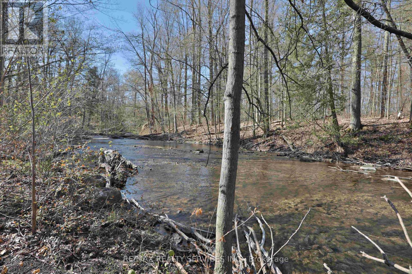 20 Side Road, Halton Hills (Rural Halton Hills), Ontario  L7G 4S4 - Photo 7 - W13233522