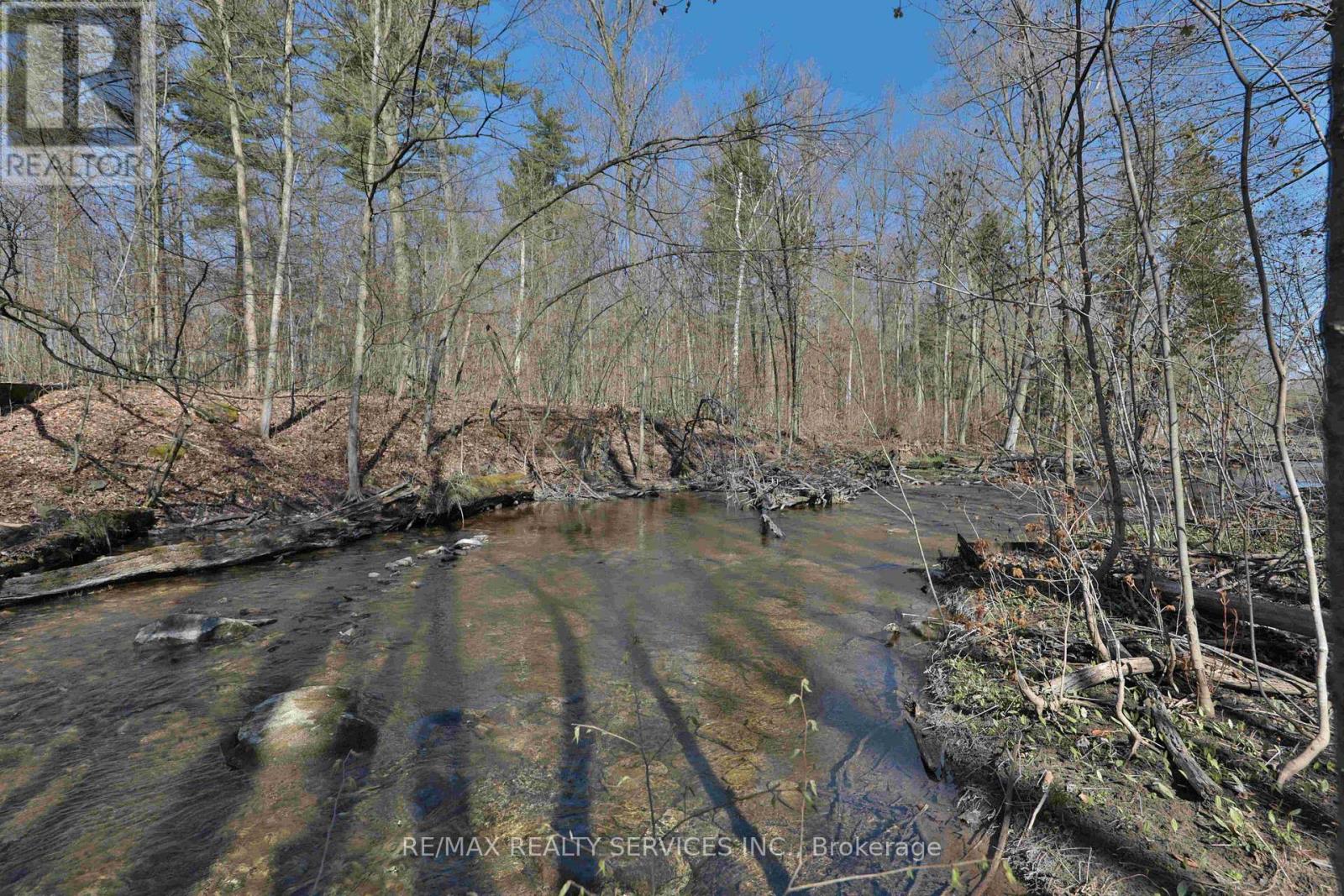 20 Side Road, Halton Hills (Rural Halton Hills), Ontario  L7G 4S4 - Photo 9 - W13233522