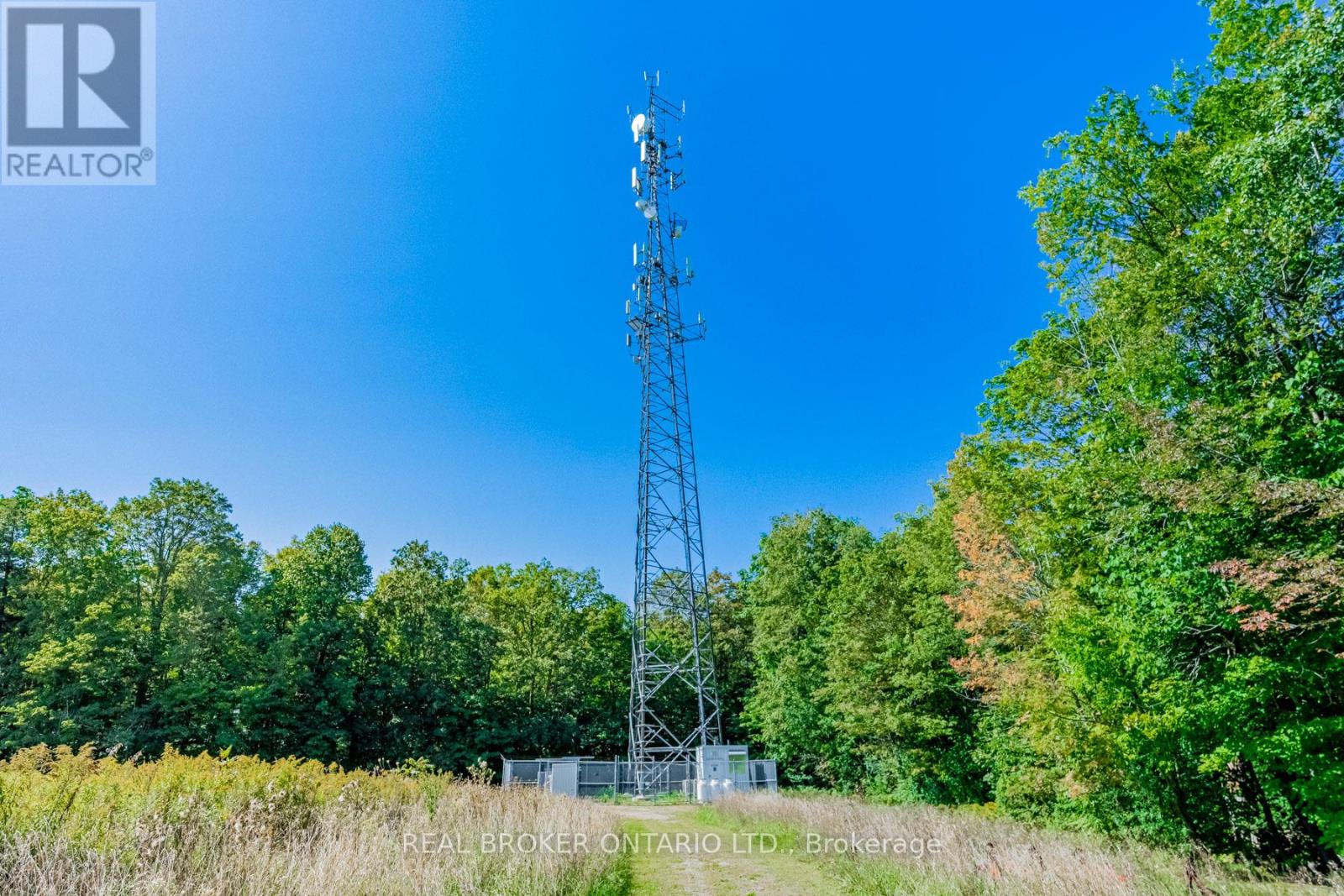 13908 Trafalgar Road, Halton Hills (Rural Halton Hills), Ontario  L7G 4S4 - Photo 13 - W13423092