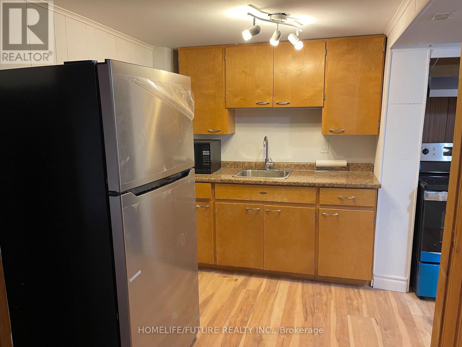 Bsmt - 28 Raylawn Crescent, Halton Hills (Georgetown), Ontario  L7G 4M7 - Photo 13 - W13438564