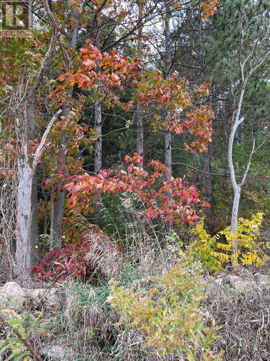 14070 Dublin Line, Halton Hills (Rural Halton Hills), Ontario  L7J 2L9 - Photo 26 - W13464214