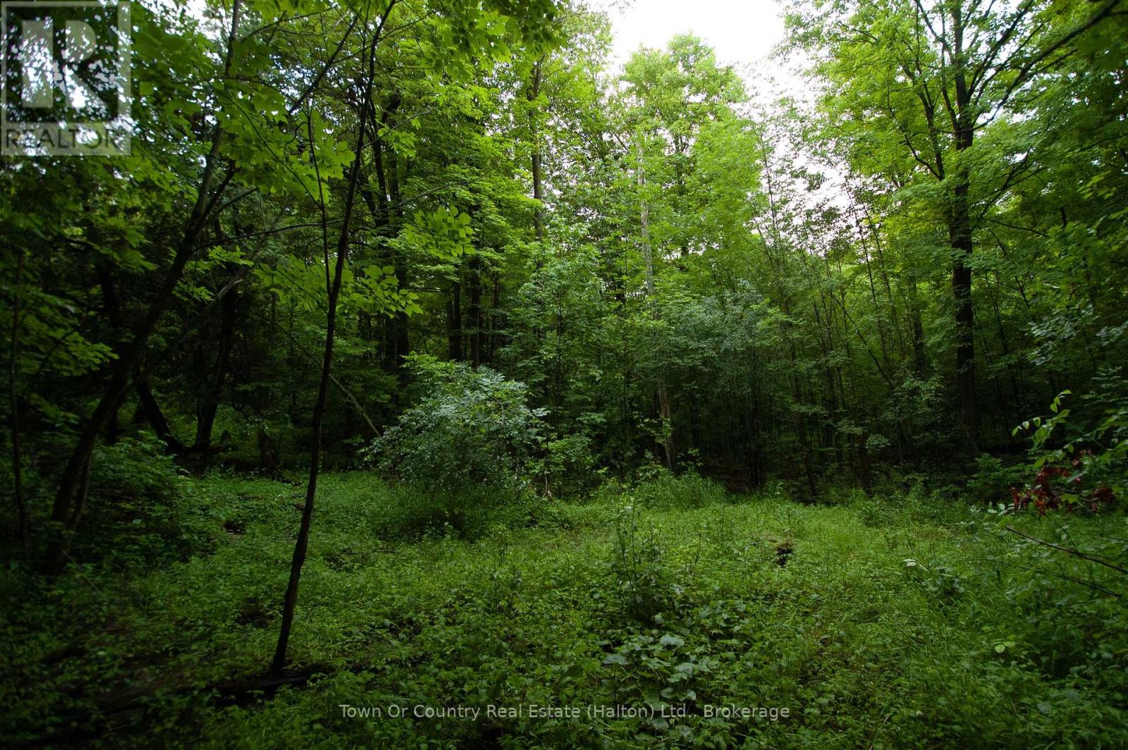 0 Fourth Line, Halton Hills (Es Rural Esquesing), Ontario  L7J 2M1 - Photo 14 - W13531398
