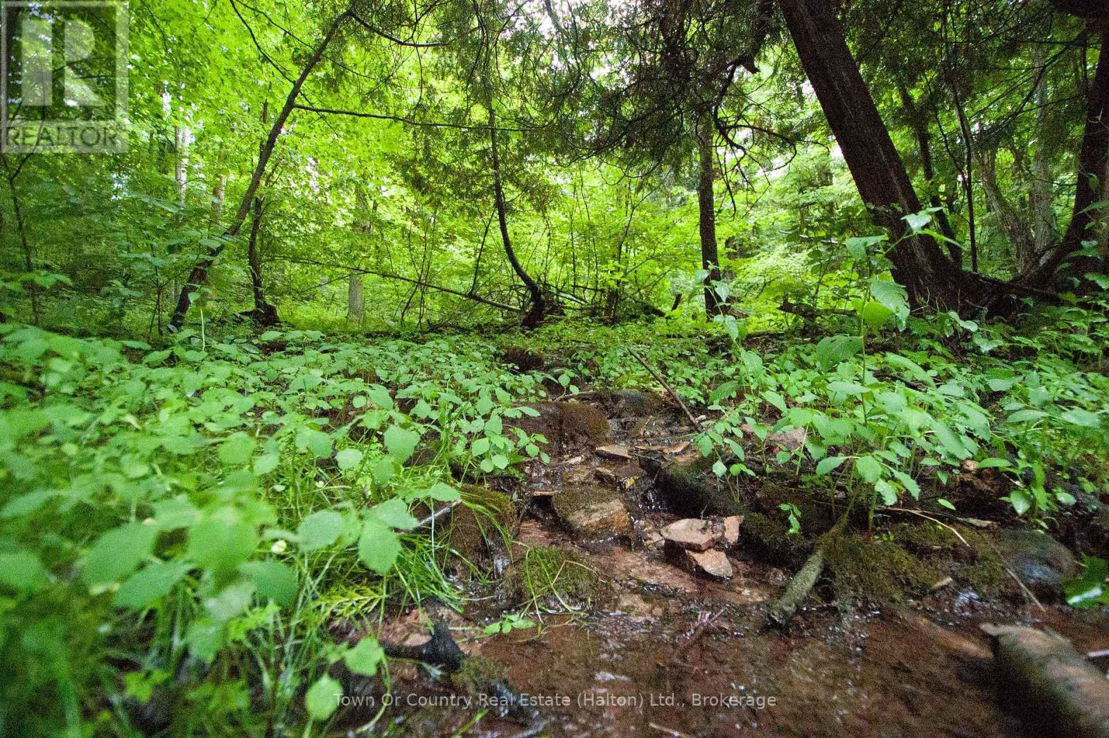 0 Fourth Line, Halton Hills (Es Rural Esquesing), Ontario  L7J 2M1 - Photo 15 - W13531398