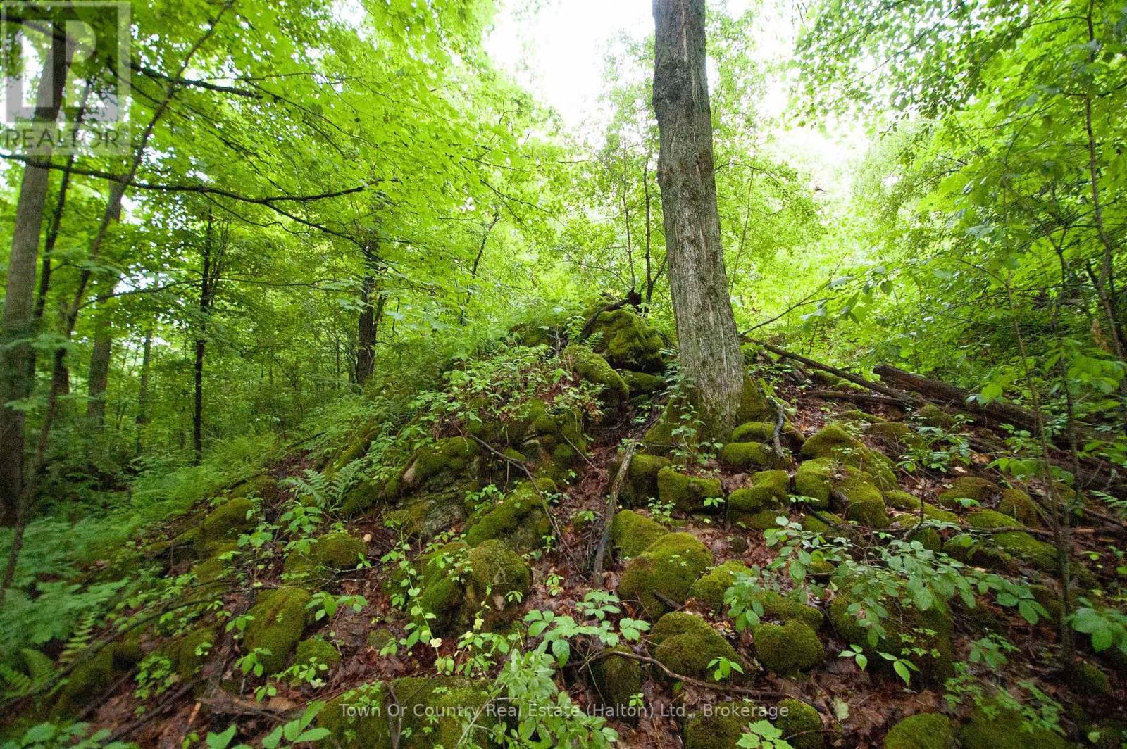 0 Fourth Line, Halton Hills (Es Rural Esquesing), Ontario  L7J 2M1 - Photo 16 - W13531398