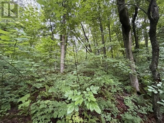 0 Fourth Line, Halton Hills (Es Rural Esquesing), Ontario  L7J 2M1 - Photo 20 - W13531398