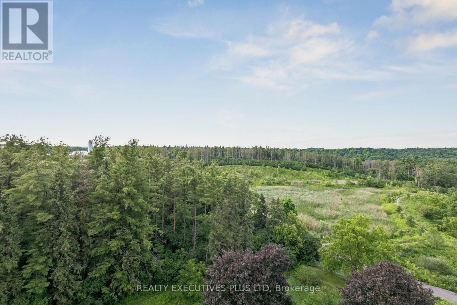 603 - 20 Mcfarlane Drive, Halton Hills (Georgetown), Ontario  L7G 5J8 - Photo 46 - W13553860