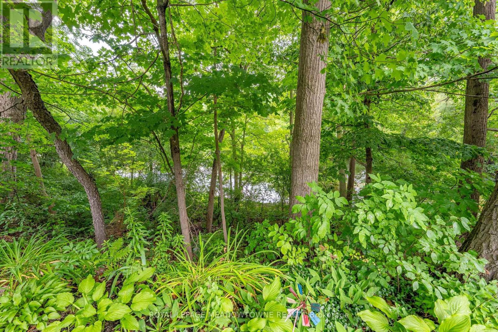 69 Lynden Circle, Halton Hills (Georgetown), Ontario  L7G 4Y7 - Photo 46 - W13602186