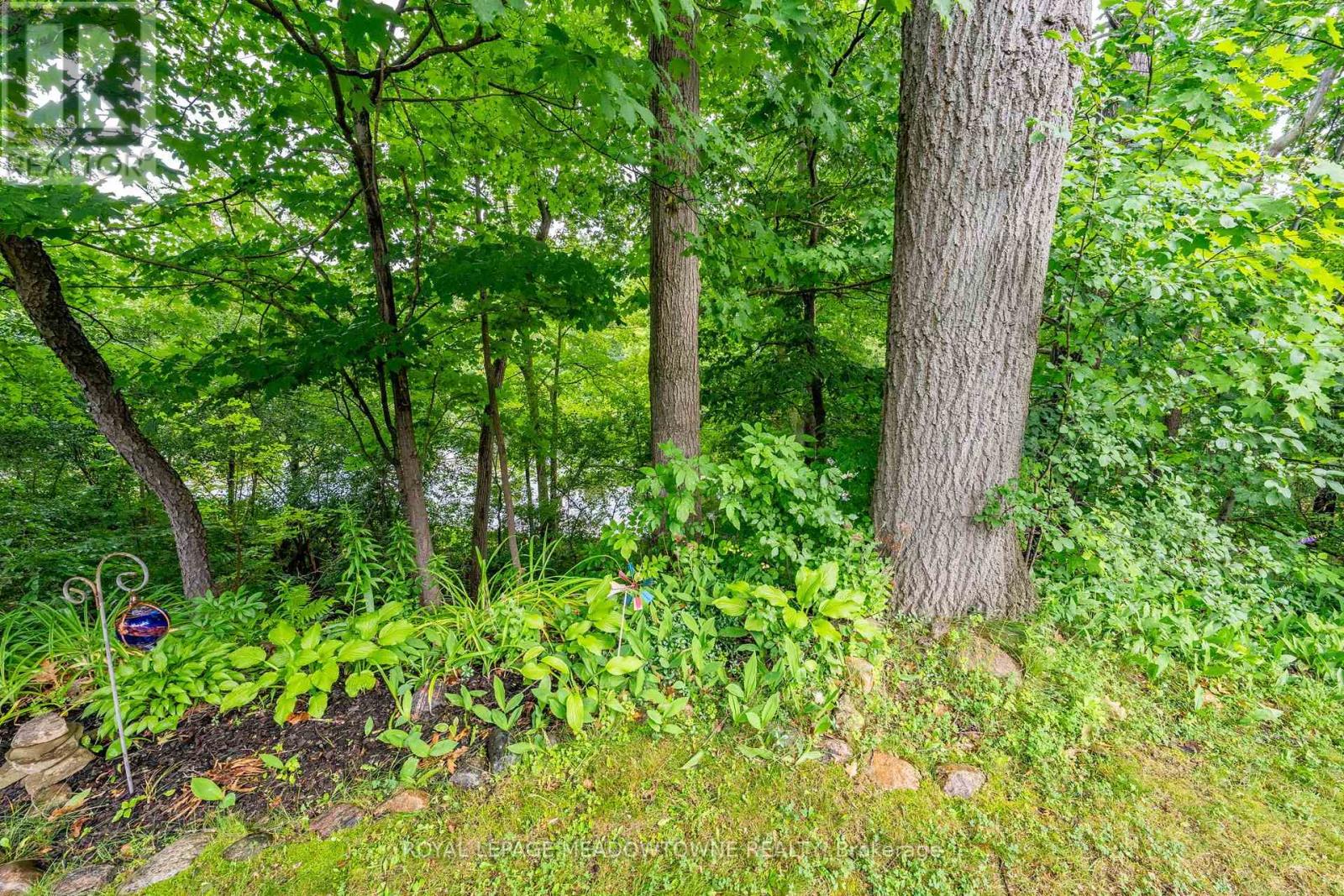 69 Lynden Circle, Halton Hills (Georgetown), Ontario  L7G 4Y7 - Photo 47 - W13602186