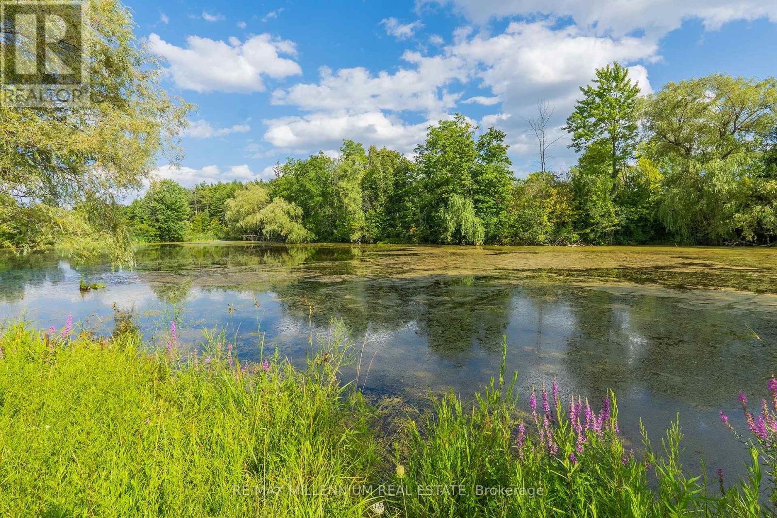 16282 27 Side Road, Halton Hills (Rural Halton Hills), Ontario  L0P 1N0 - Photo 45 - W13692250