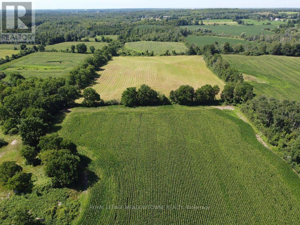 11080 First Line Nassagaweya, Milton, Ontario  L0P 1J0 - Photo 1 - W13724674
