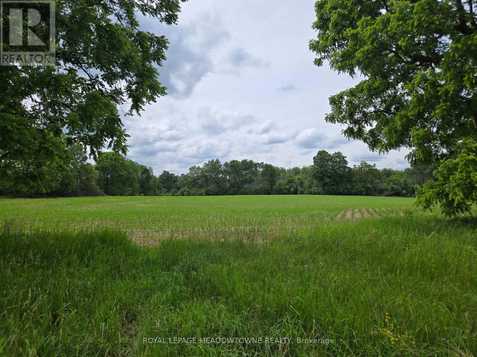 11080 First Line Nassagaweya, Milton, Ontario  L0P 1J0 - Photo 9 - W13724674