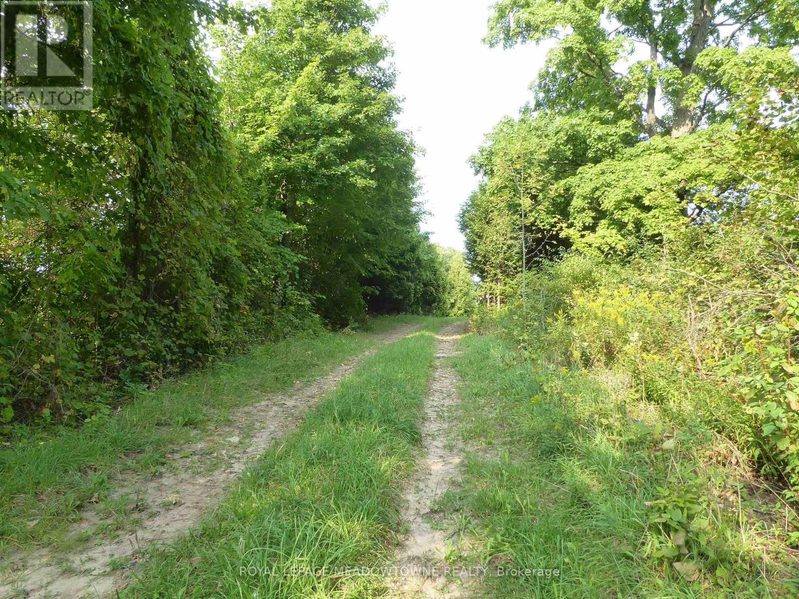 11080 First Line Nassagaweya, Milton, Ontario  L0P 1J0 - Photo 12 - W13724806