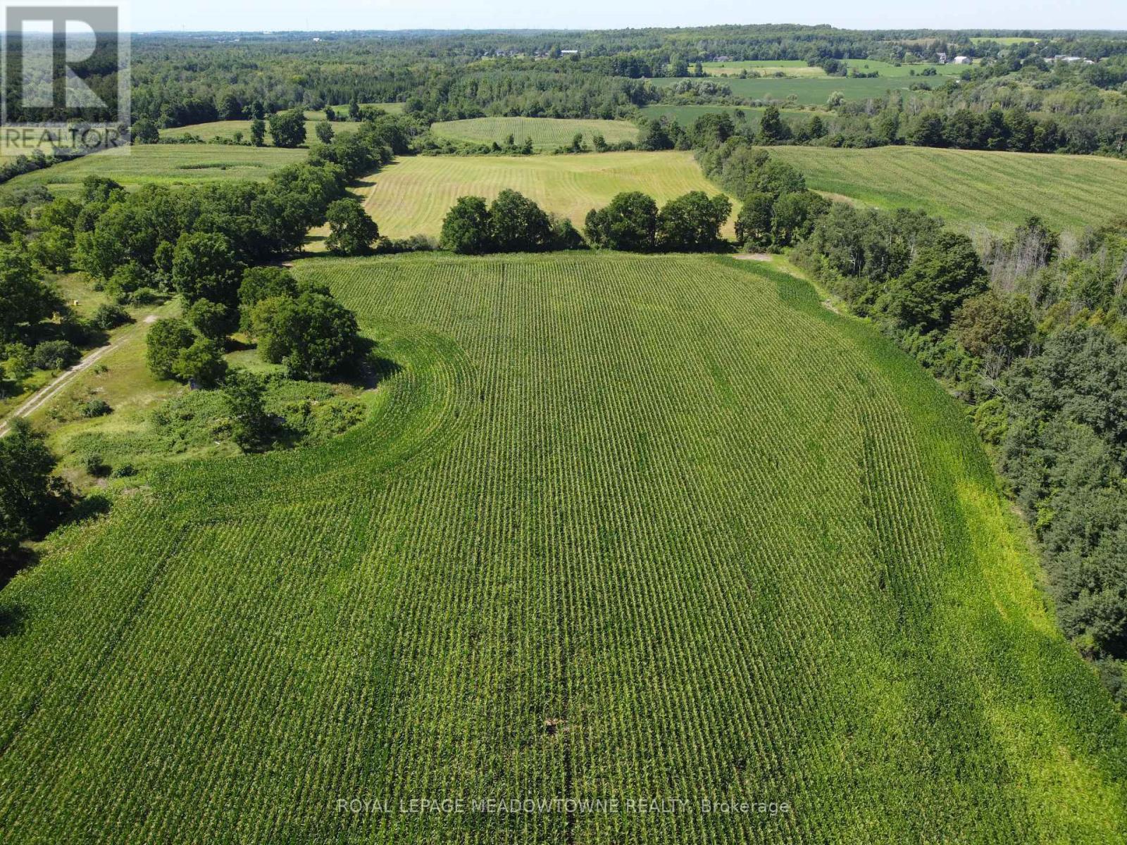 11080 First Line Nassagaweya, Milton, Ontario  L0P 1J0 - Photo 17 - W13724806
