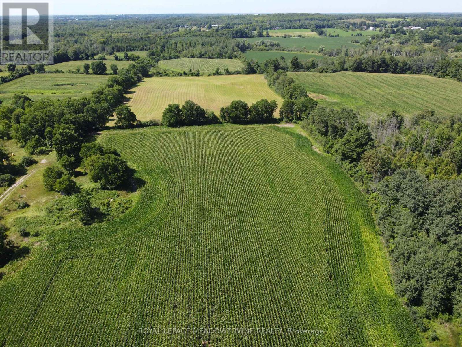 11080 First Line Nassagaweya, Milton, Ontario  L0P 1J0 - Photo 7 - W13724806