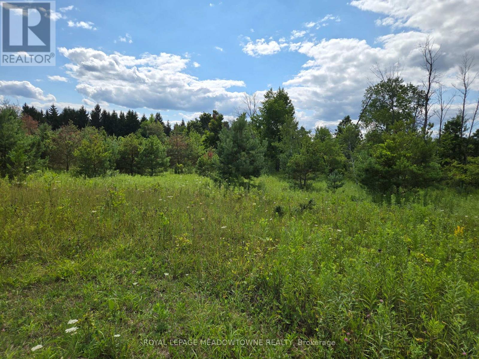 9414 First Line Nassagaweya W, Milton, Ontario  L0P 1J0 - Photo 10 - W13724928