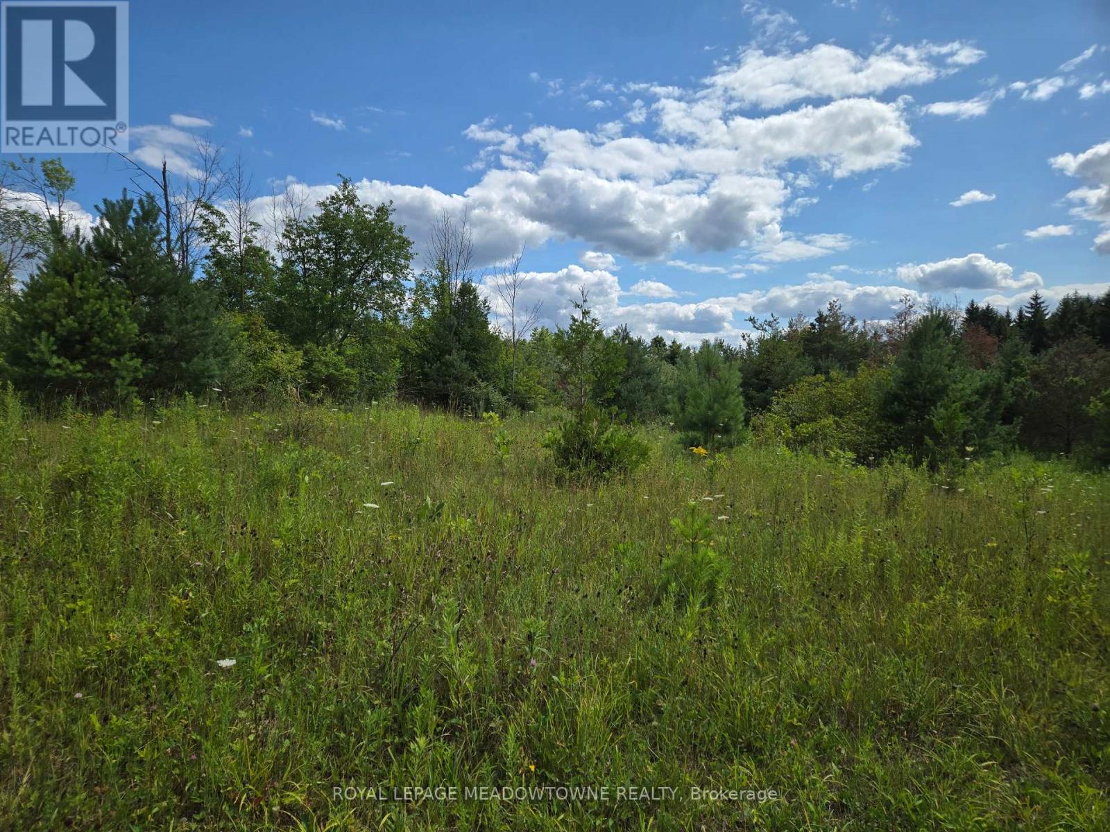 9414 First Line Nassagaweya W, Milton, Ontario  L0P 1J0 - Photo 5 - W13724928