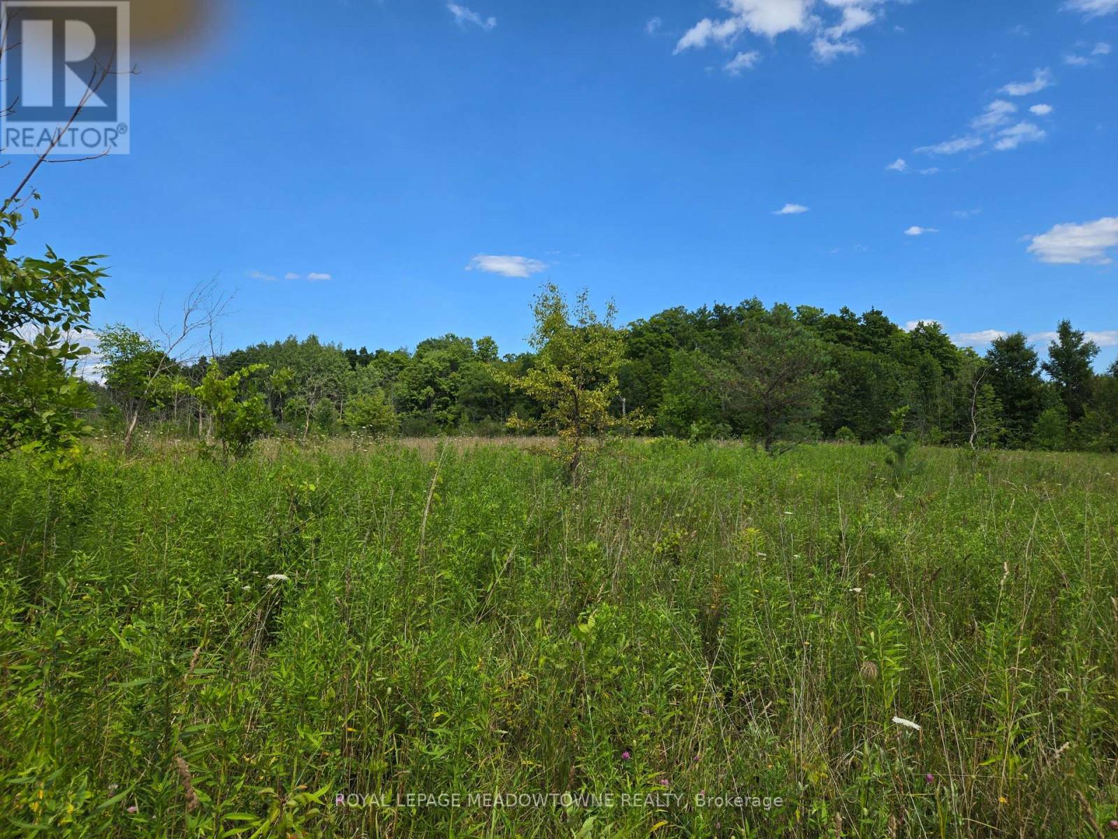 9414 First Line Nassagaweya W, Milton, Ontario  L0P 1J0 - Photo 6 - W13724928