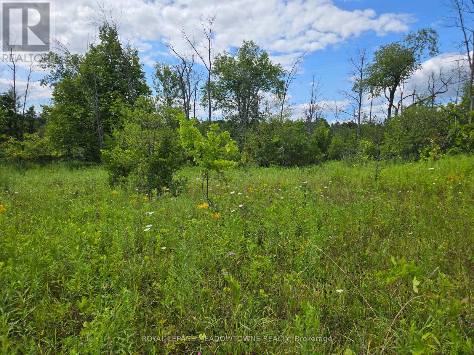9414 First Line Nassagaweya W, Milton, Ontario  L0P 1J0 - Photo 7 - W13724928