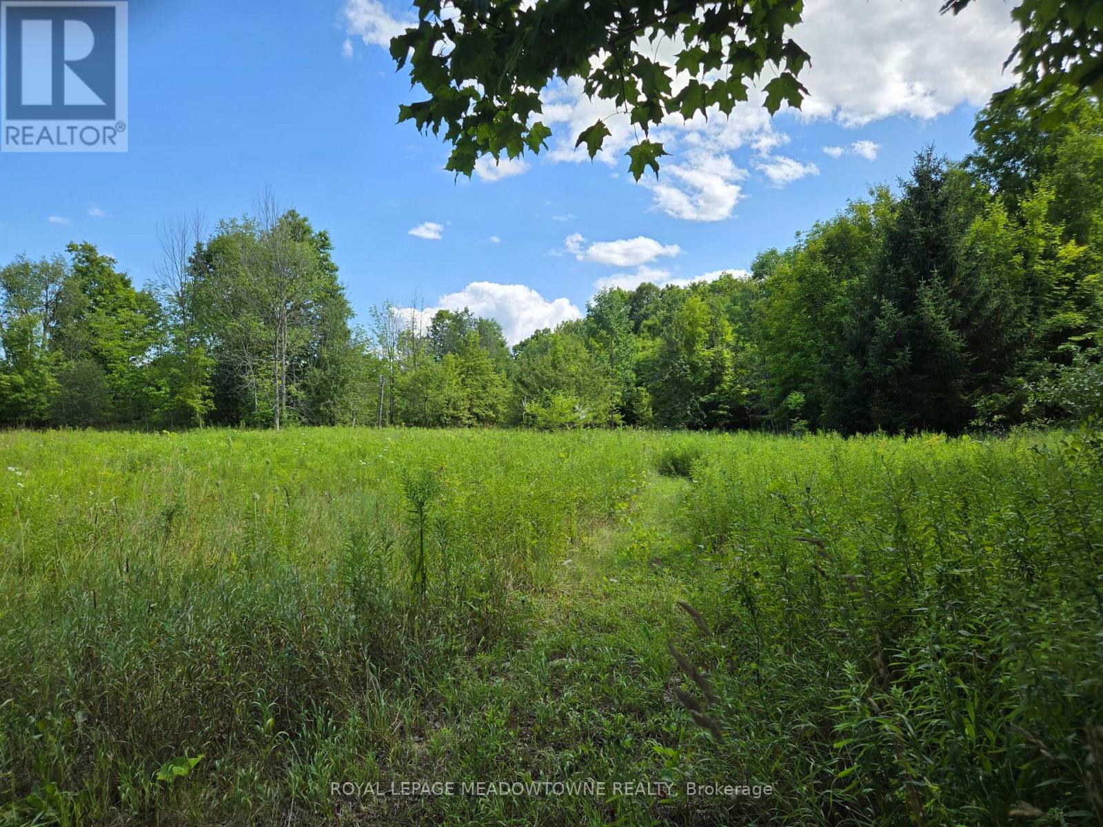 9414 First Line Nassagaweya, Milton, Ontario  L0P 1J0 - Photo 1 - W13725022