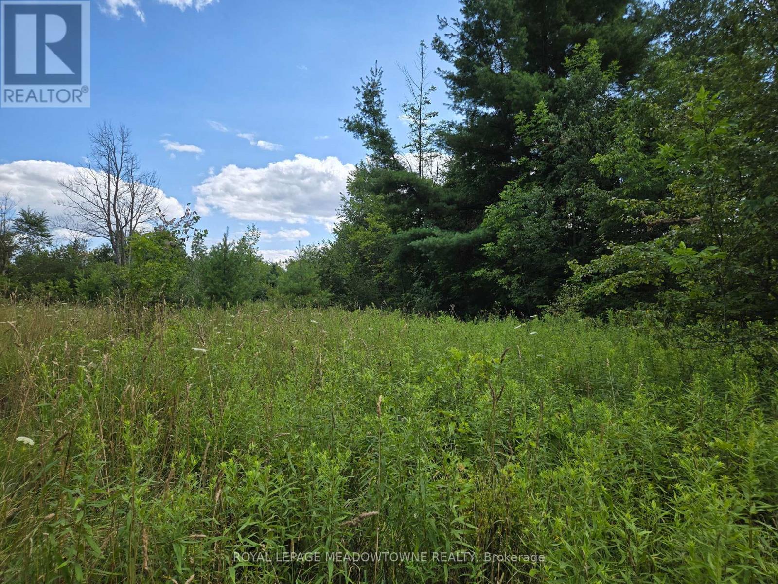 9414 First Line Nassagaweya, Milton, Ontario  L0P 1J0 - Photo 12 - W13725022