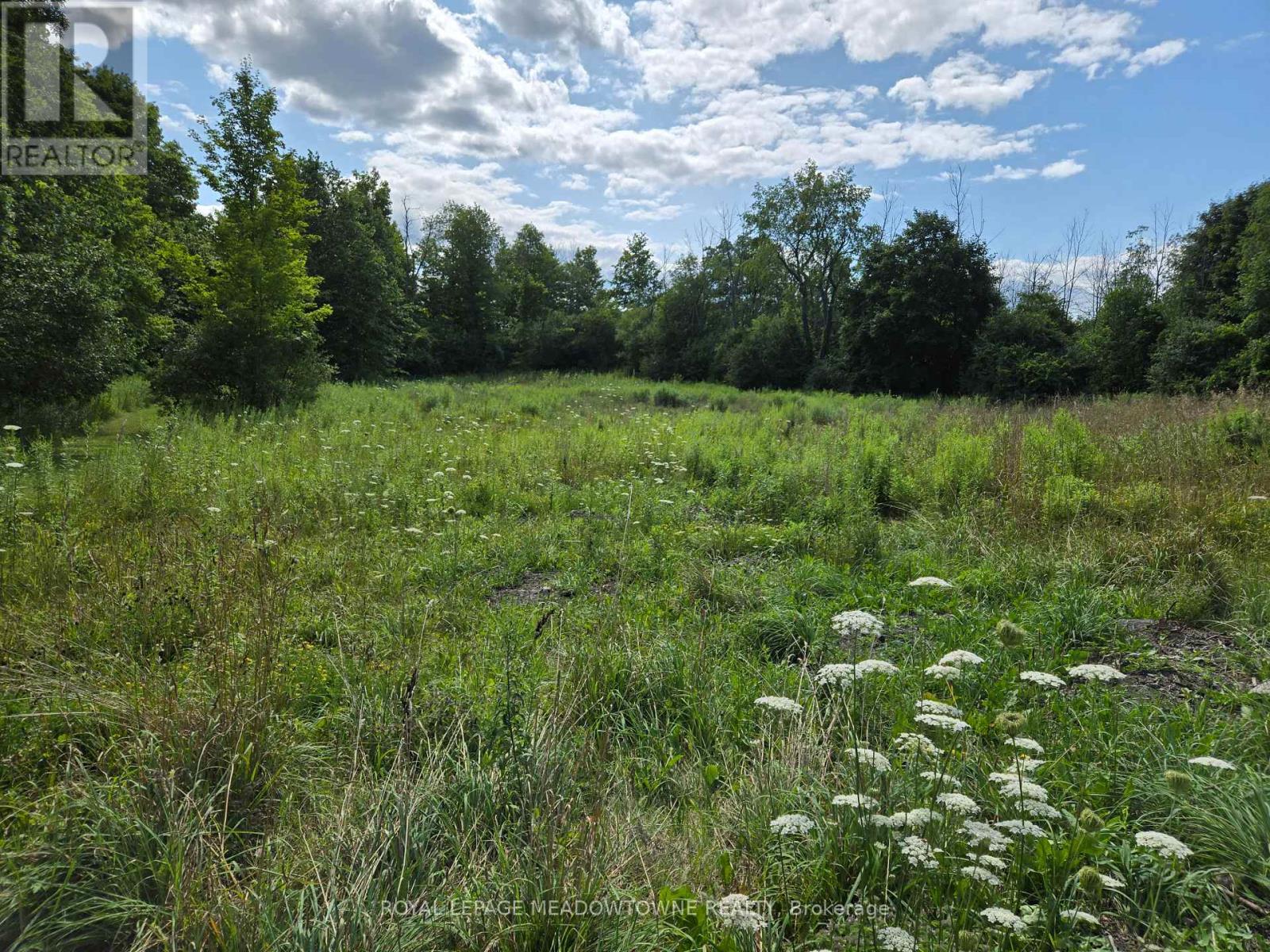 9414 First Line Nassagaweya, Milton, Ontario  L0P 1J0 - Photo 14 - W13725022