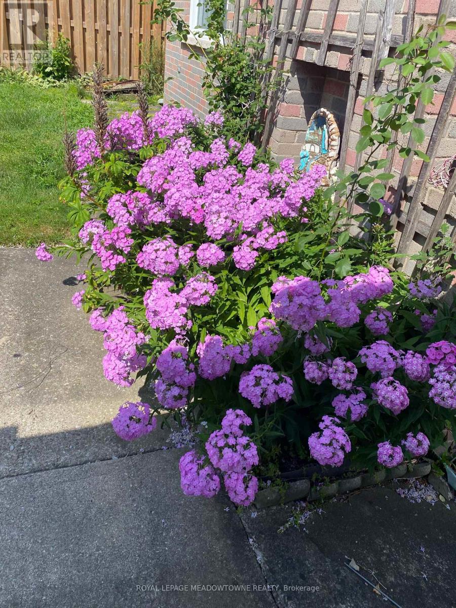 57 Dawson Crescent, Halton Hills (Georgetown), Ontario  L7G 1H3 - Photo 47 - W13744462