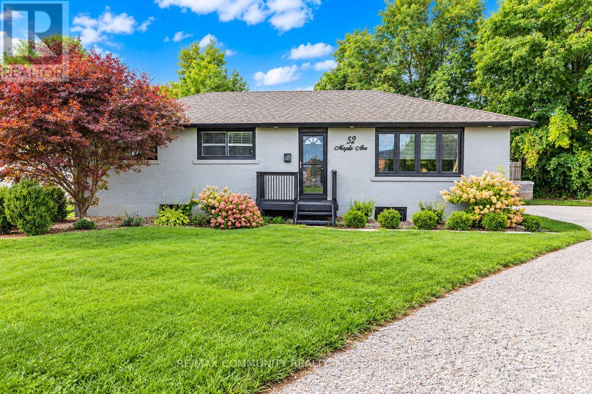 Bsmt - 52 Maple Avenue, Halton Hills (Georgetown), Ontario  L7G 1X7 - Photo 1 - W13818616