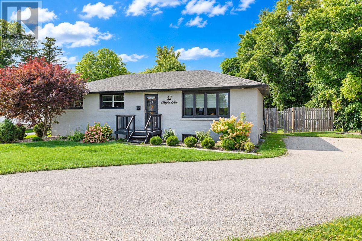Bsmt - 52 Maple Avenue, Halton Hills (Georgetown), Ontario  L7G 1X7 - Photo 2 - W13818616