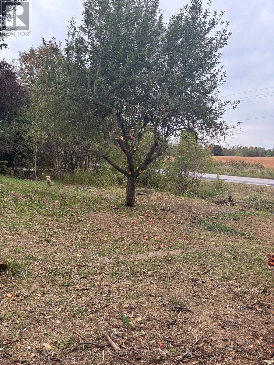 14273 4th Line, Halton Hills (Rural Halton Hills), Ontario  L7J 2L8 - Photo 3 - W14003904