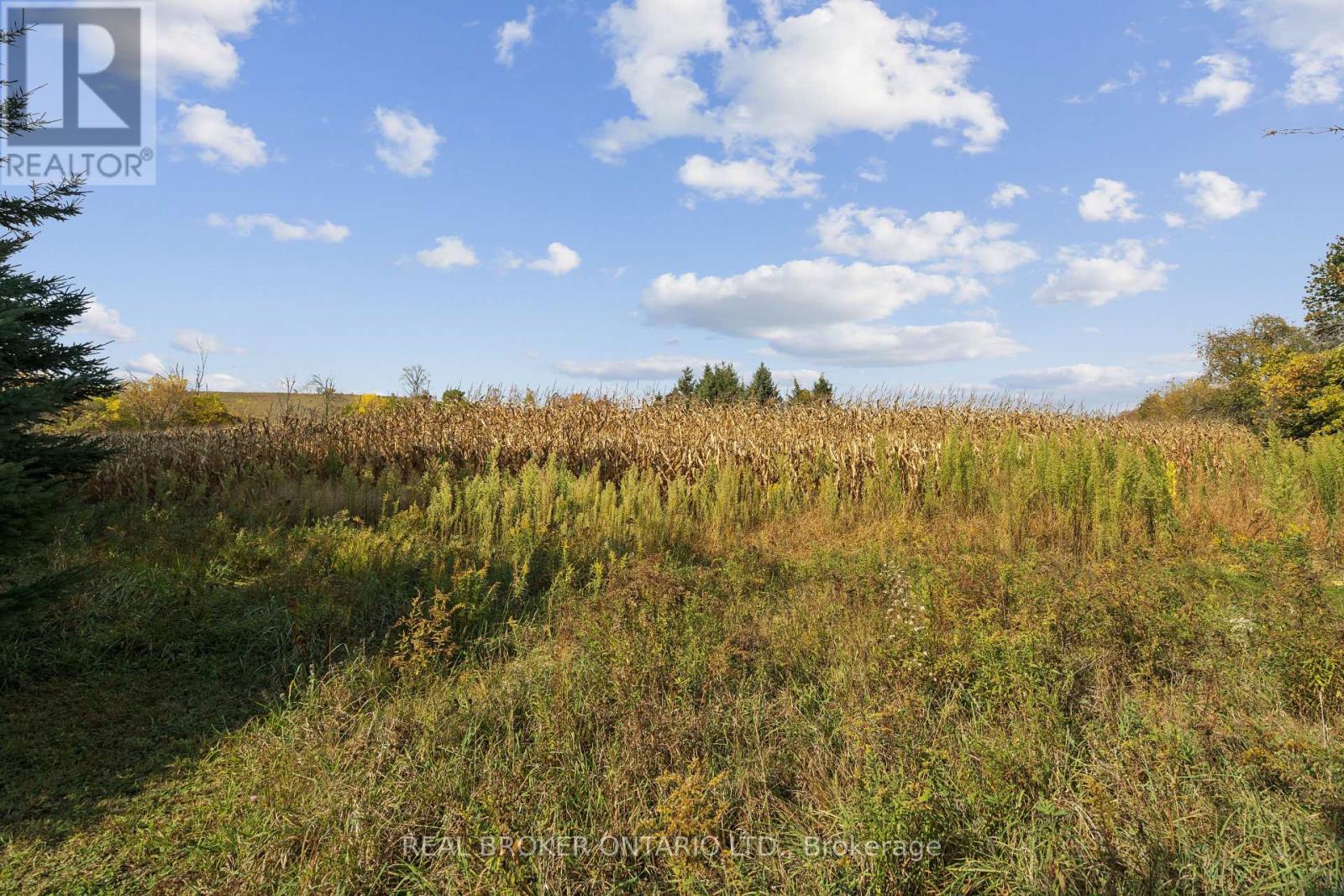 5649 25 Side Road, Milton (Na Rural Nassagaweya), Ontario  L7J 2L7 - Photo 17 - W14095602
