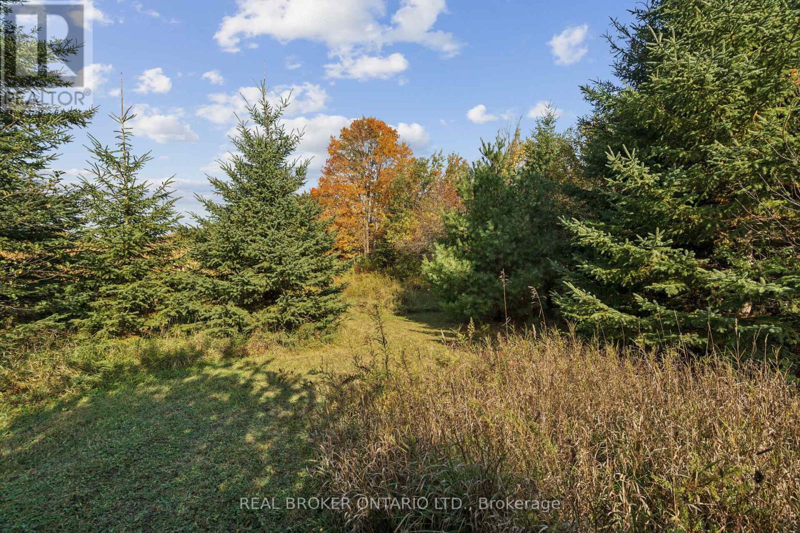 5649 25 Side Road, Milton (Na Rural Nassagaweya), Ontario  L7J 2L7 - Photo 18 - W14095602