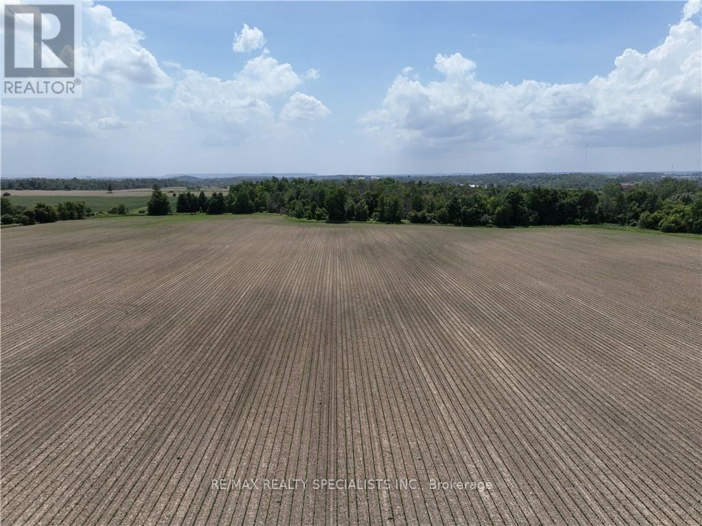 8790 Ninth Line, Halton Hills (Rural Halton Hills), Ontario  L0P 1K0 - Photo 6 - W14115638