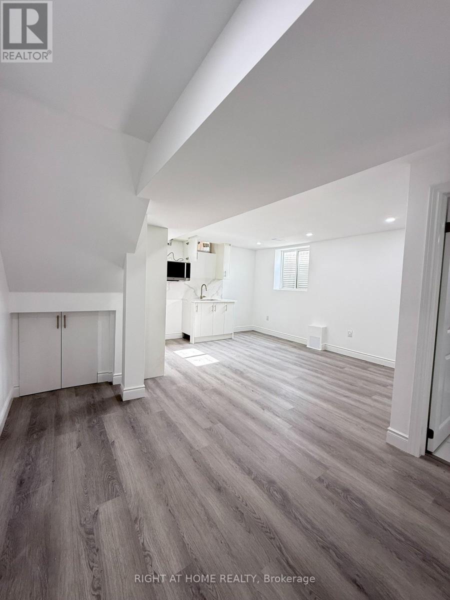 Basement - 42 Whistler Street, Hamilton (Stoney Creek Mountain), Ontario  L0P 1P0 - Photo 1 - X14124472