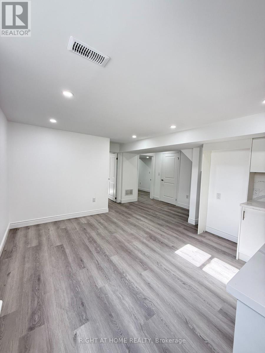 Basement - 42 Whistler Street, Hamilton (Stoney Creek Mountain), Ontario  L0P 1P0 - Photo 2 - X14124472
