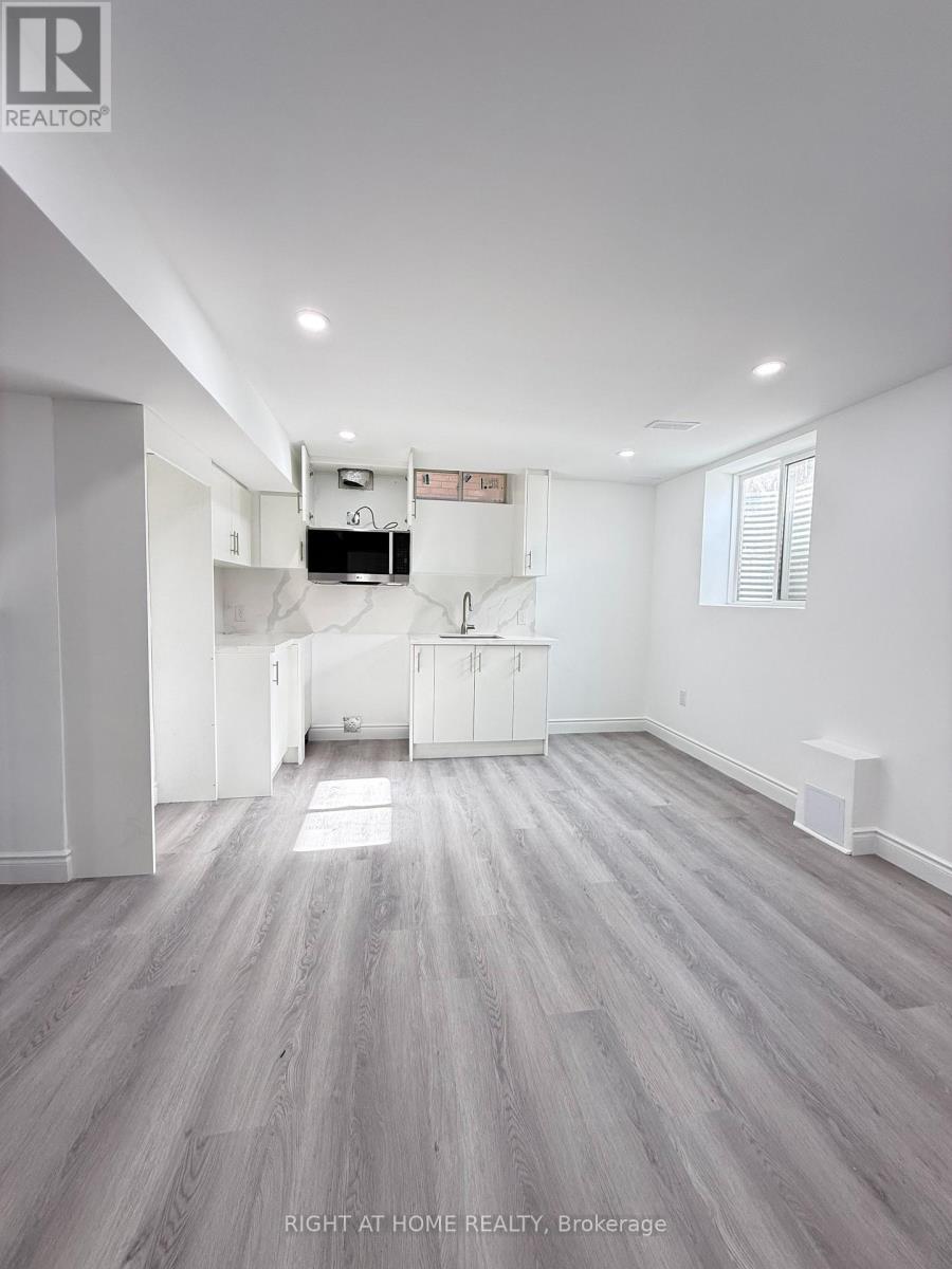 Basement - 42 Whistler Street, Hamilton (Stoney Creek Mountain), Ontario  L0P 1P0 - Photo 3 - X14124472