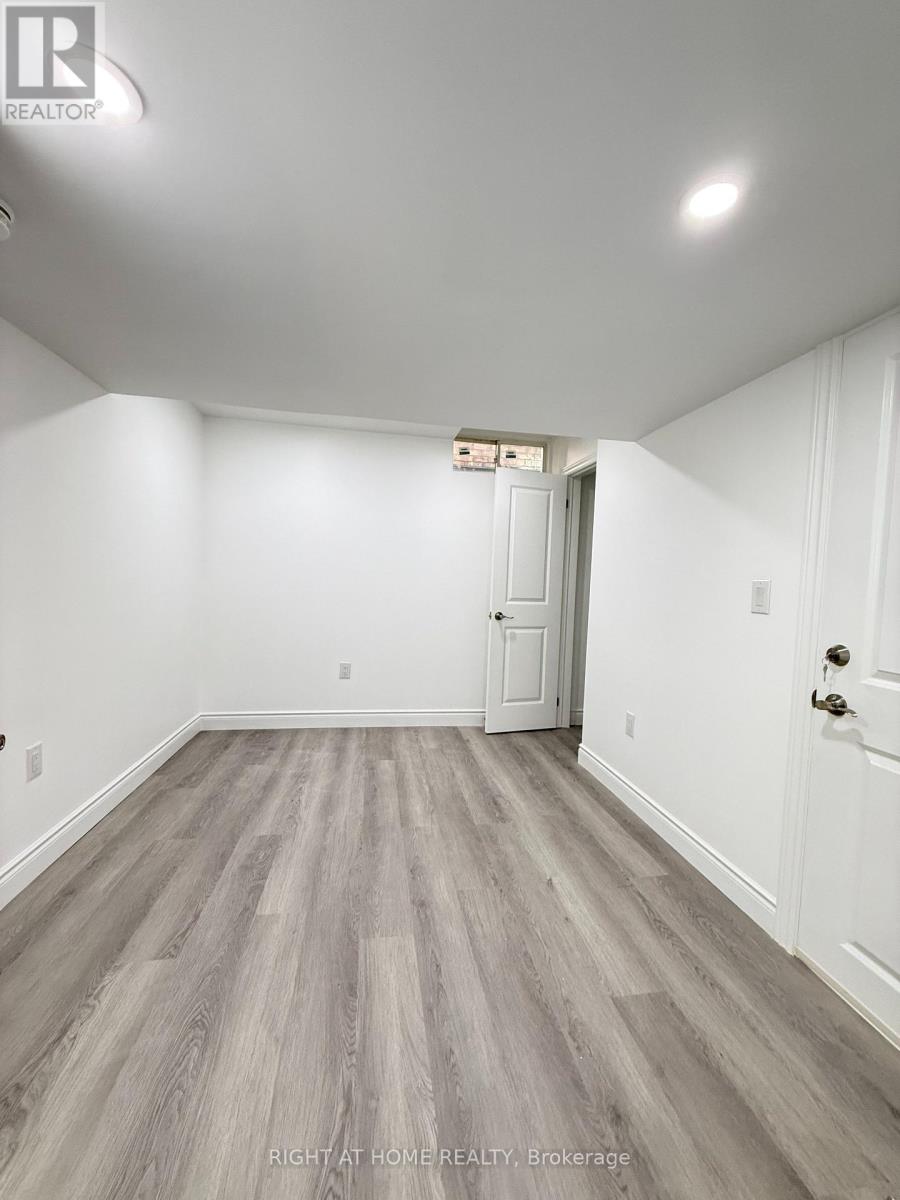 Basement - 42 Whistler Street, Hamilton (Stoney Creek Mountain), Ontario  L0P 1P0 - Photo 4 - X14124472